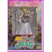 REGINA HIMIKA JEEG Gutto Figure Robo